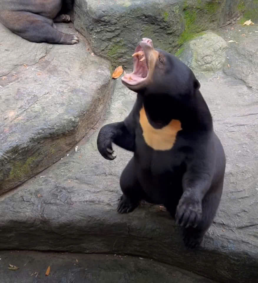 z7223724154597_4b216a024da1e431f4bb8953b507bcd5