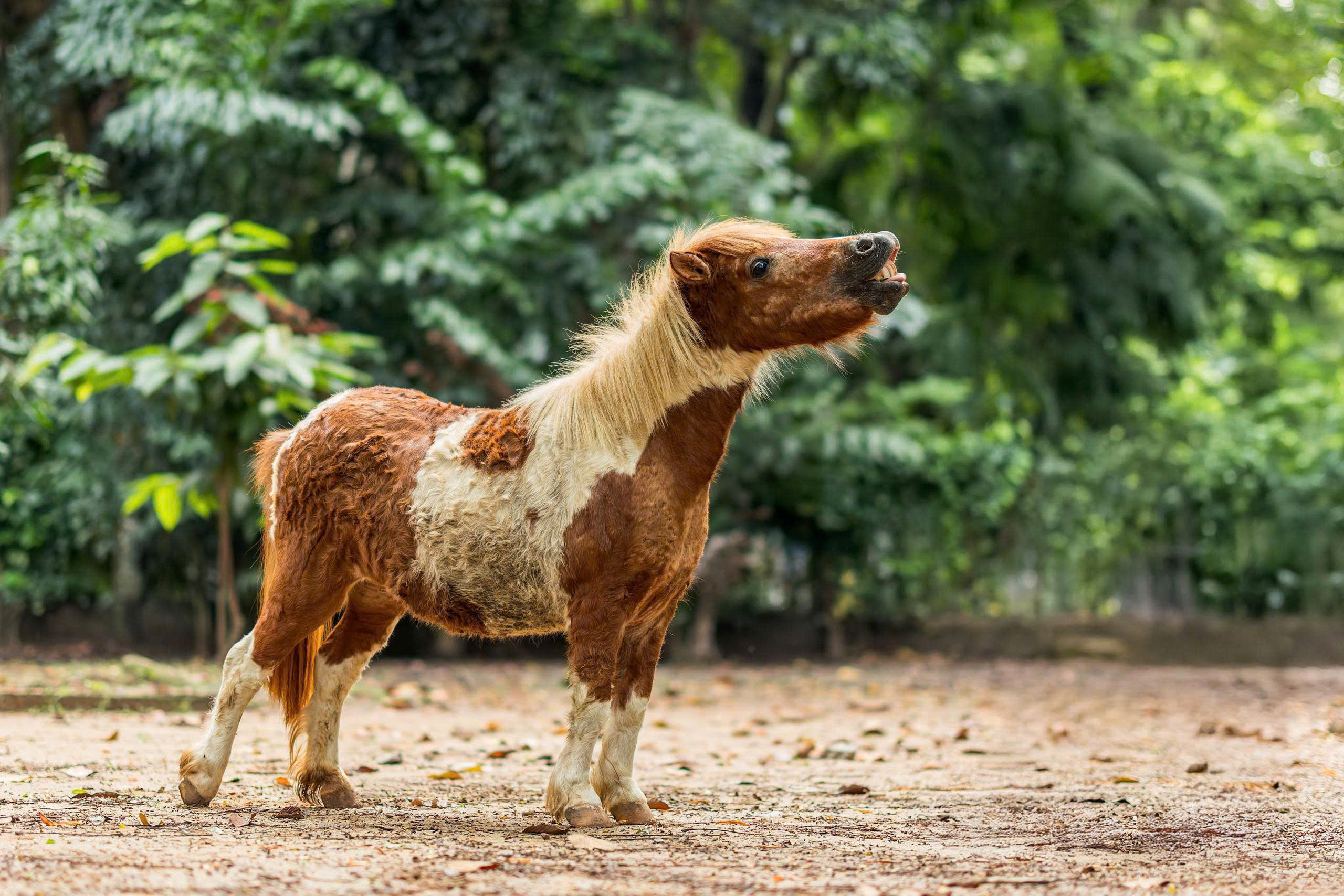 z7538009145030_9bb0955f7090a405a7fa47452791644e