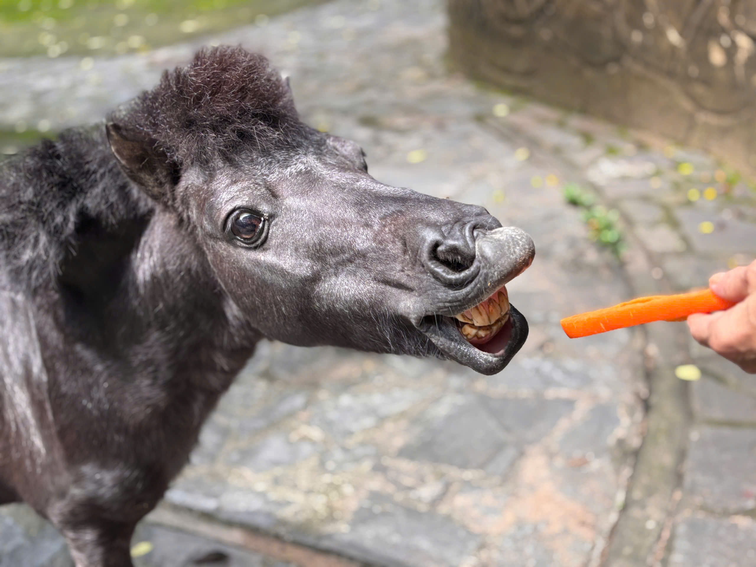 z7538009166492_cd0fe93e590ef1a2acb460a6fdc37c85