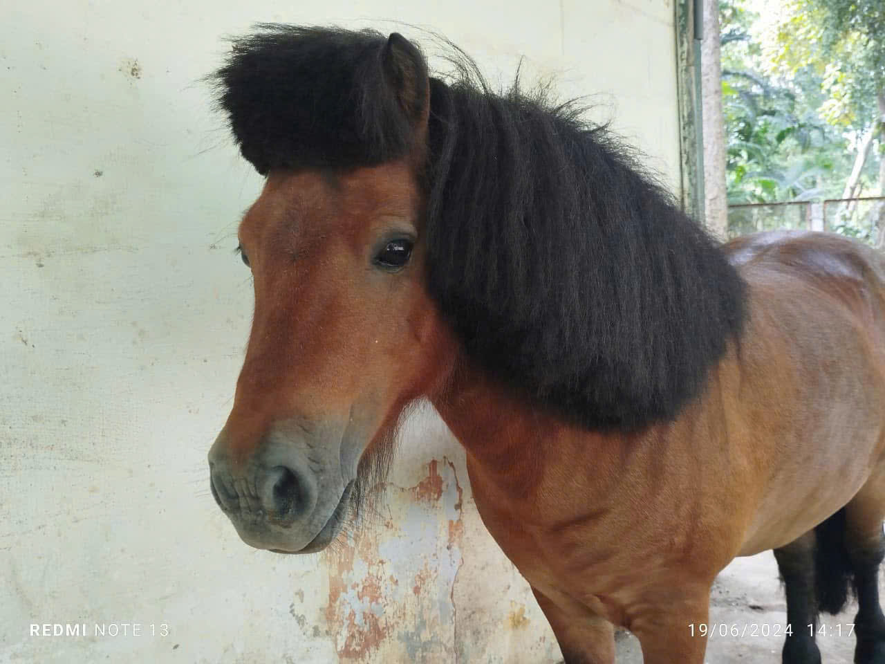 z7579669536465_c3350bf63108d91b80f0fd9b575bac0c