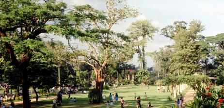 THẢO CẦM VIÊN SÀI GÒN - QUÁ TRÌNH HÌNH THÀNH VÀ PHÁT TRIỂN