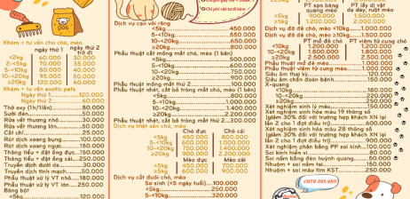 DỊch vụ - bảng giá