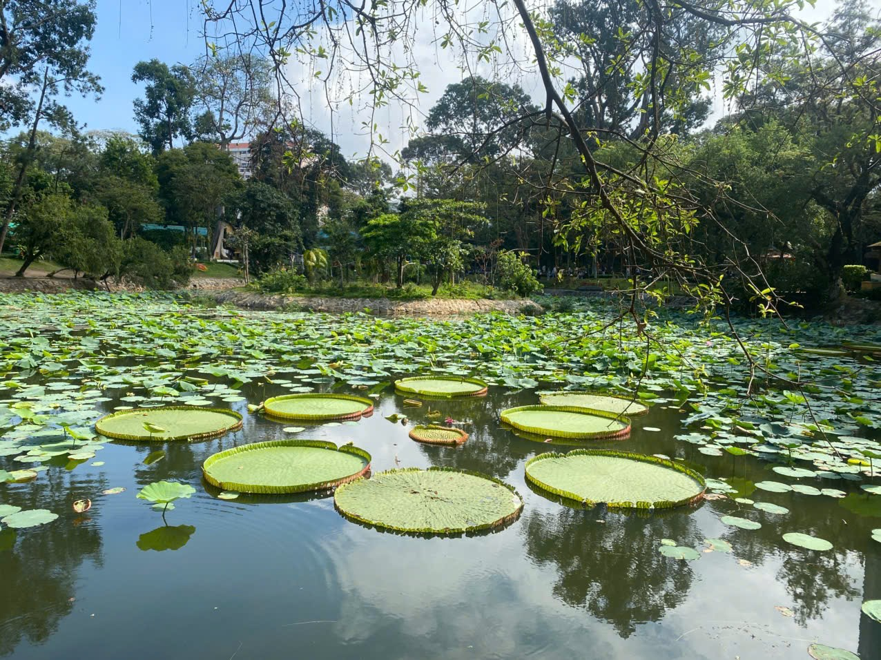 image-20260311160227-4