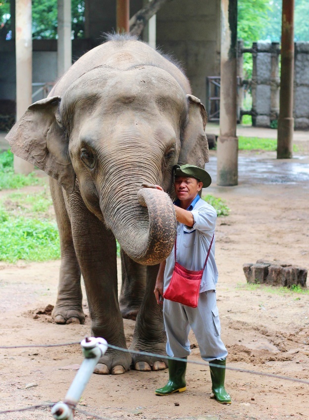 image-20260311160238-6