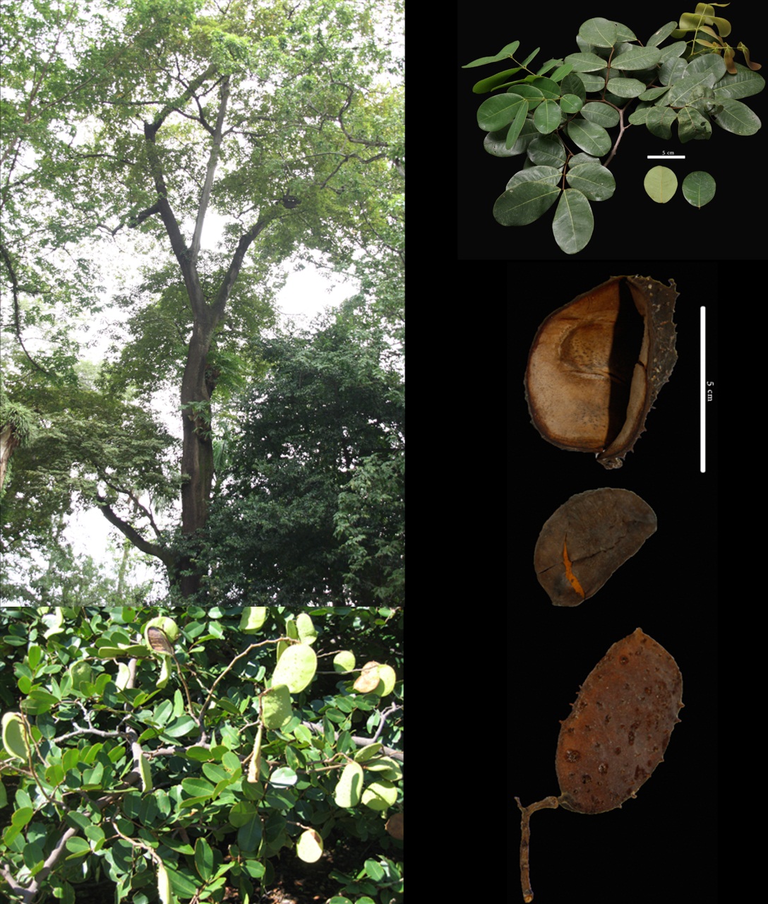 image-20260311160238-7