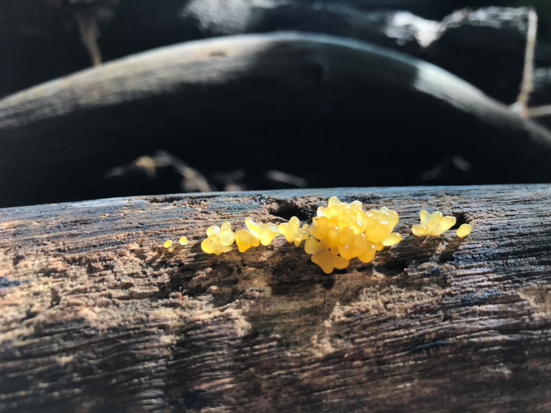 image-20260311160257-15