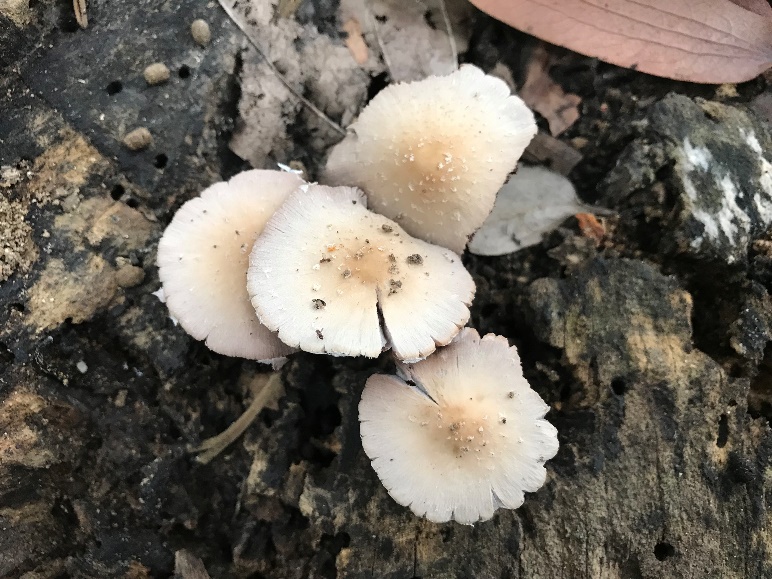 image-20260311160257-17