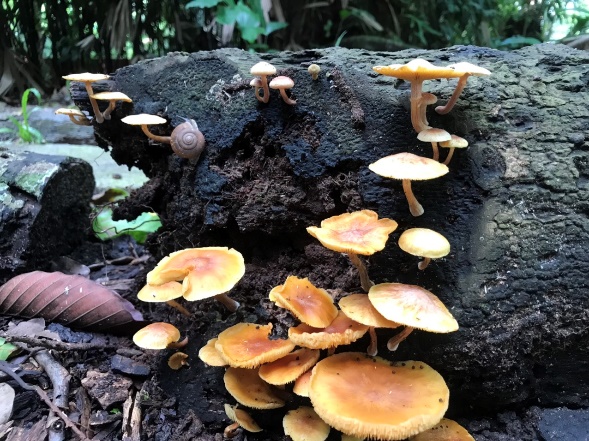 image-20260311160257-18