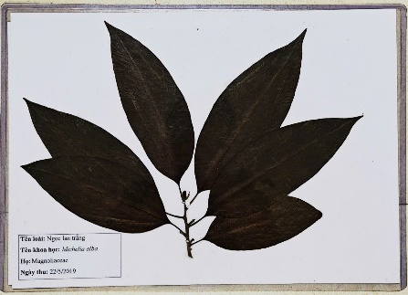 image-20260311160257-23