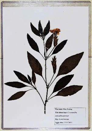 image-20260311160257-25