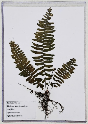 image-20260311160257-26