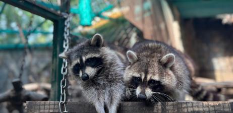 CÁC COMBO TRẢI NGHIỆM