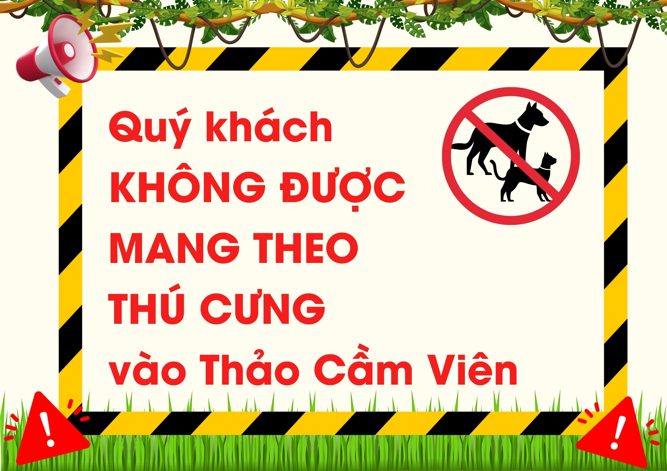 No pet