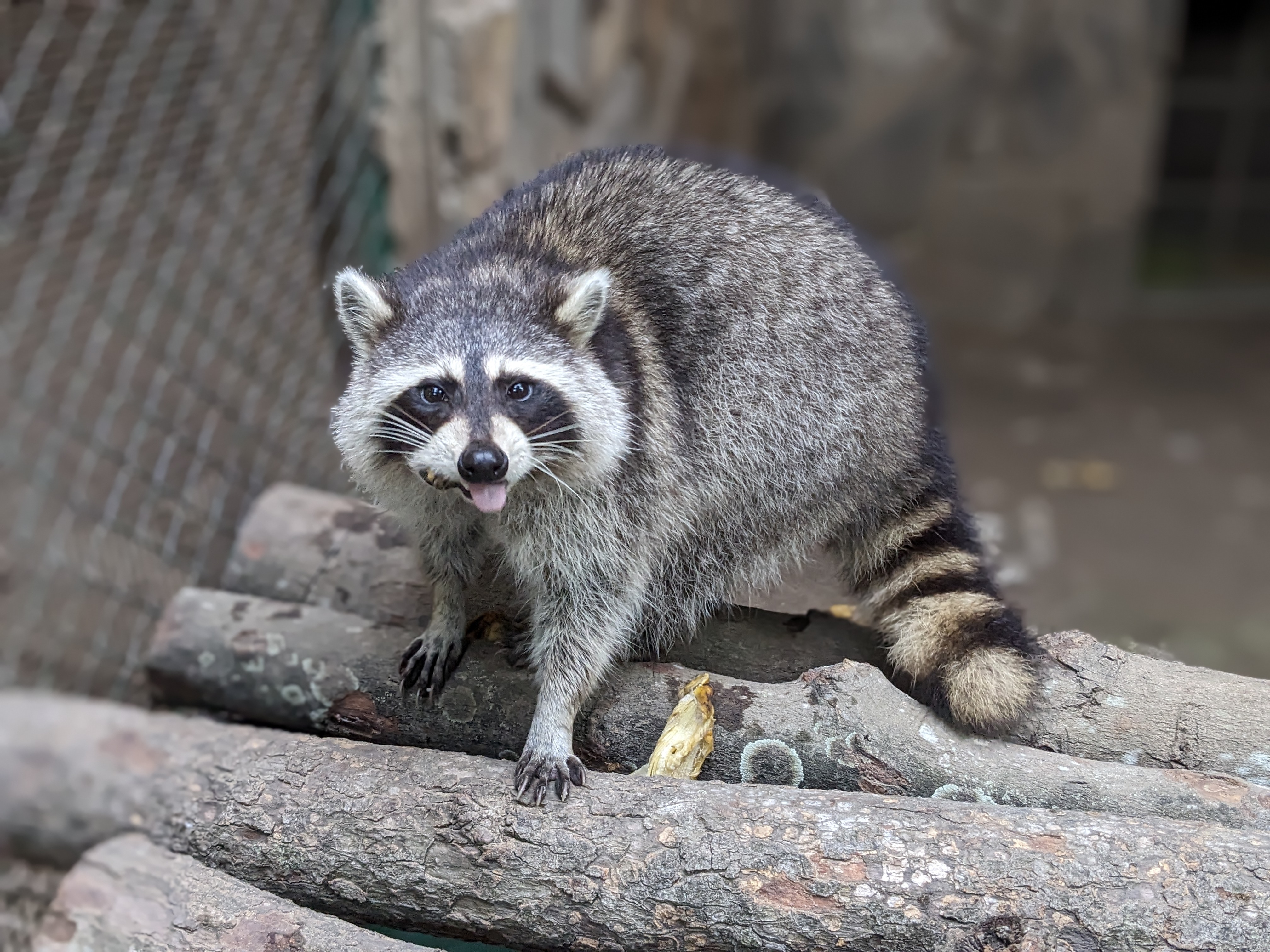 PXL_20241122_092113297.PORTRAIT