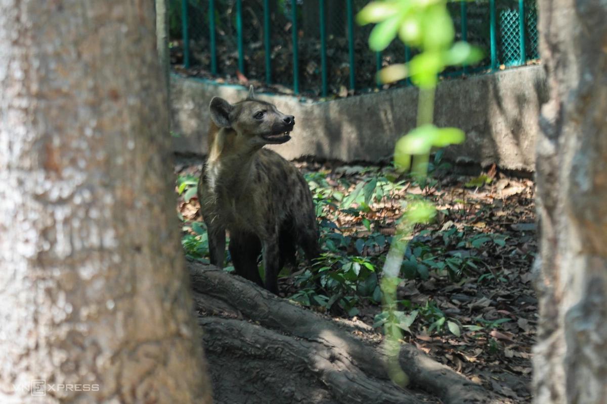 z7719886907730_c4a48e7ba1288fe02d6c092248258120