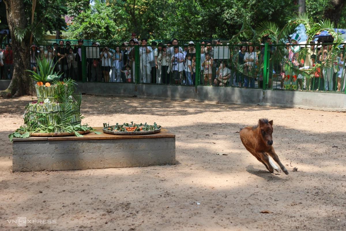 z7719887058380_55c22b1c5634f0ede2eeb29f4807951d