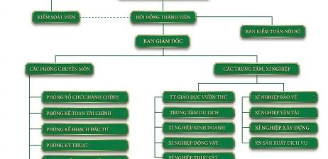 SƠ ĐỒ TỔ CHỨC CÔNG TY TNHH MTV THẢO CẦM VIÊN SÀI GÒN