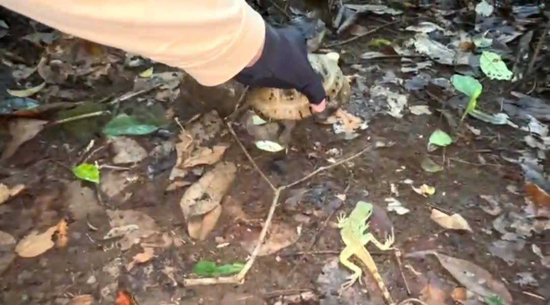 z7636314500204_7f25bc6617e33742150a439326a18e03