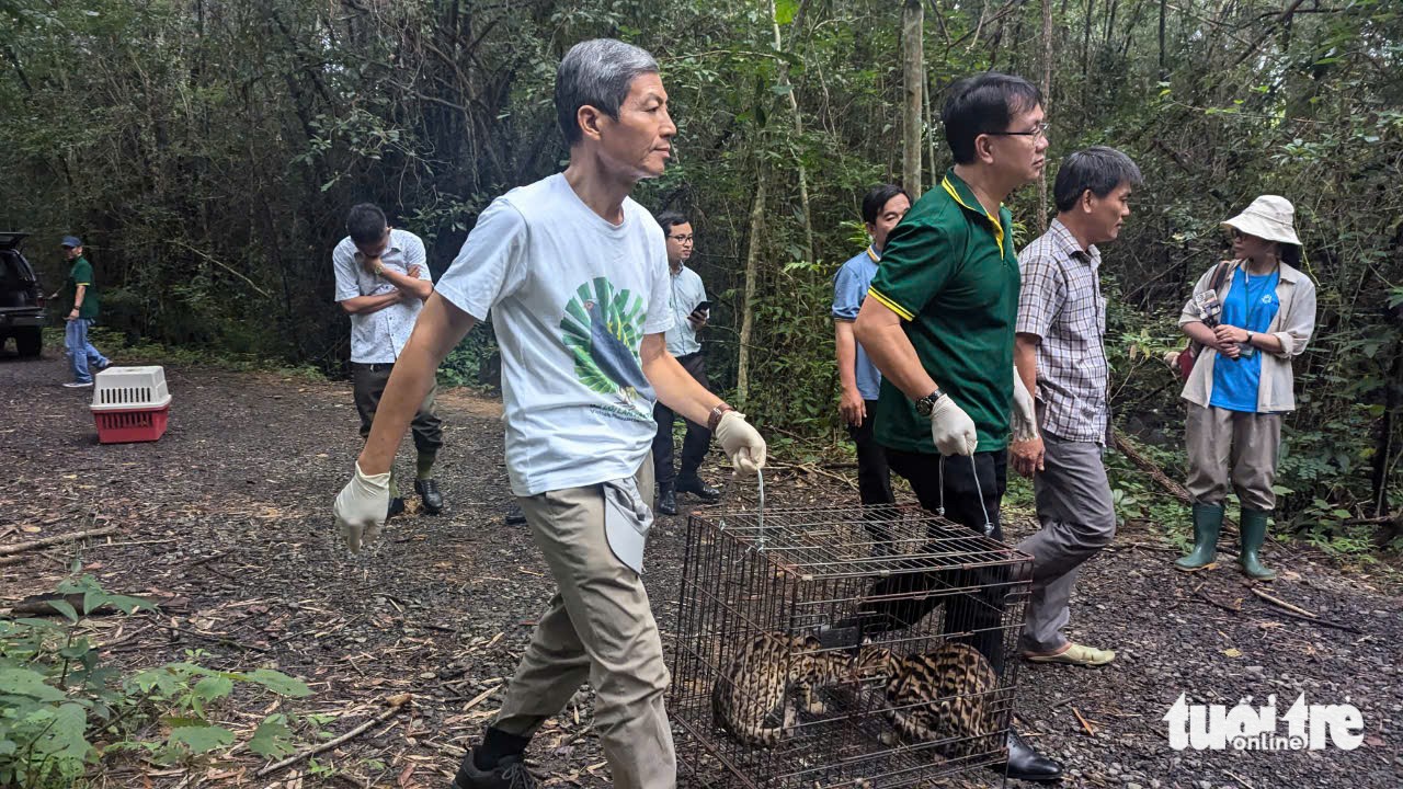 TaithameorungNamcatTien