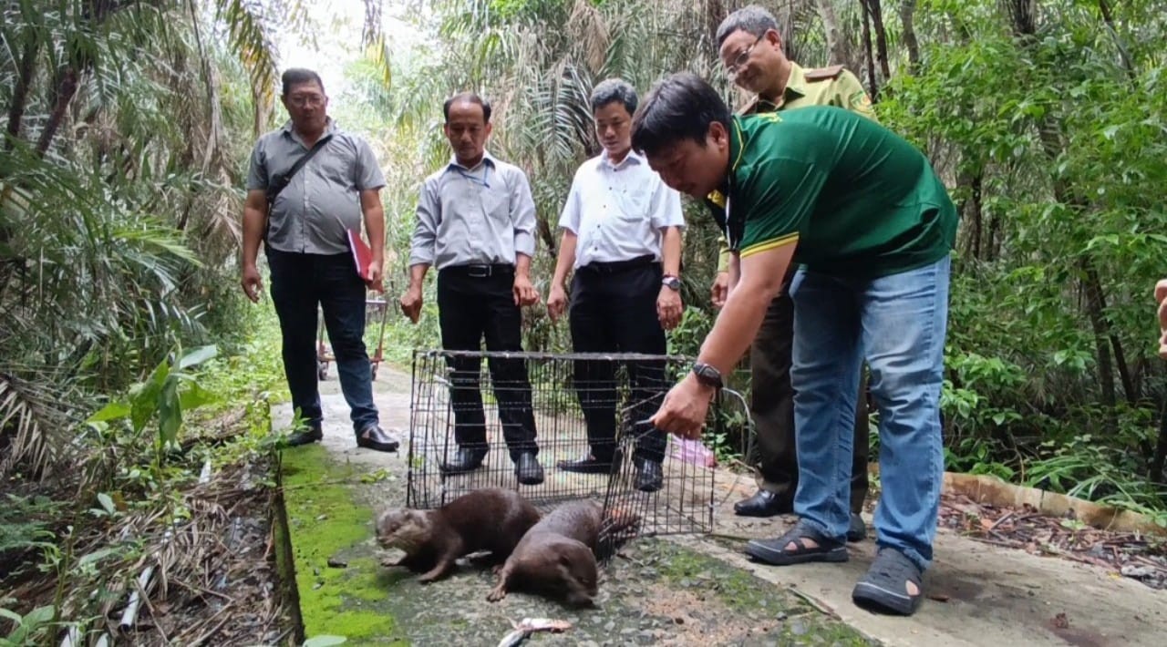 TaitharaicaCanGio (1)