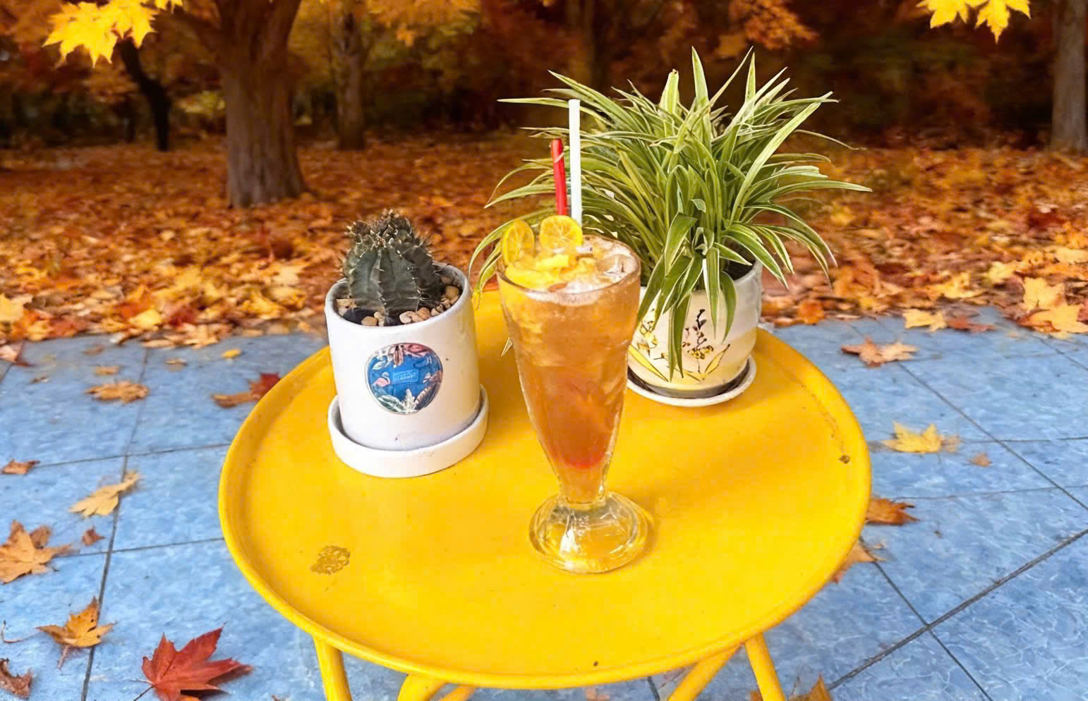 z7595362956764_4be07c1754da284c4af4852760af5884