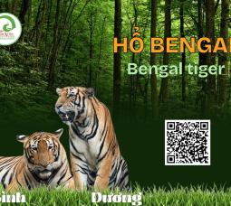 Những loài ĐV tại TCV