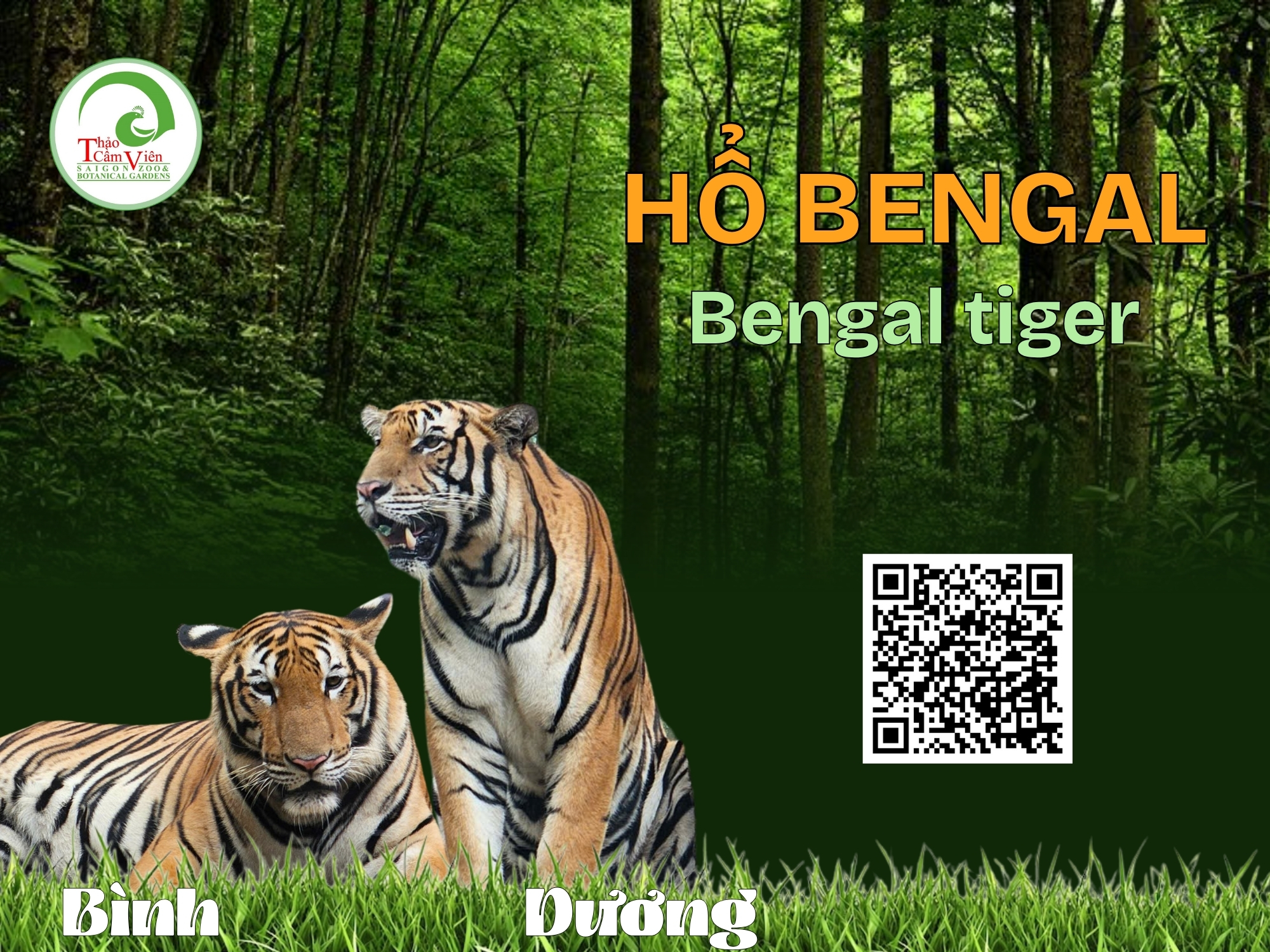 Những loài ĐV tại TCV