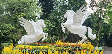 Tết rộn ràng – vui xuân mê tít tại thảo cầm viên sài gòn