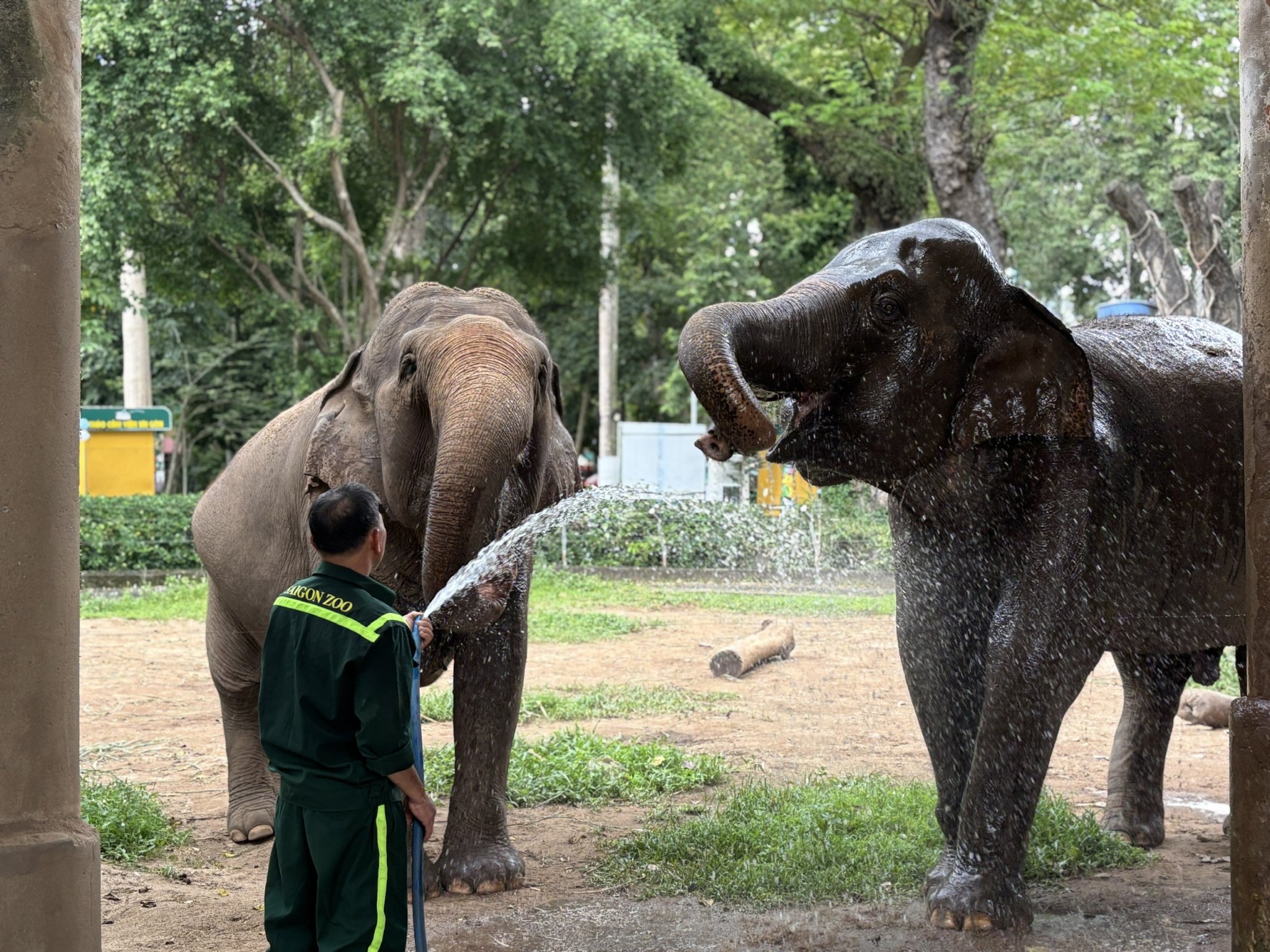 biểu diễn tập tính ĐV (2)