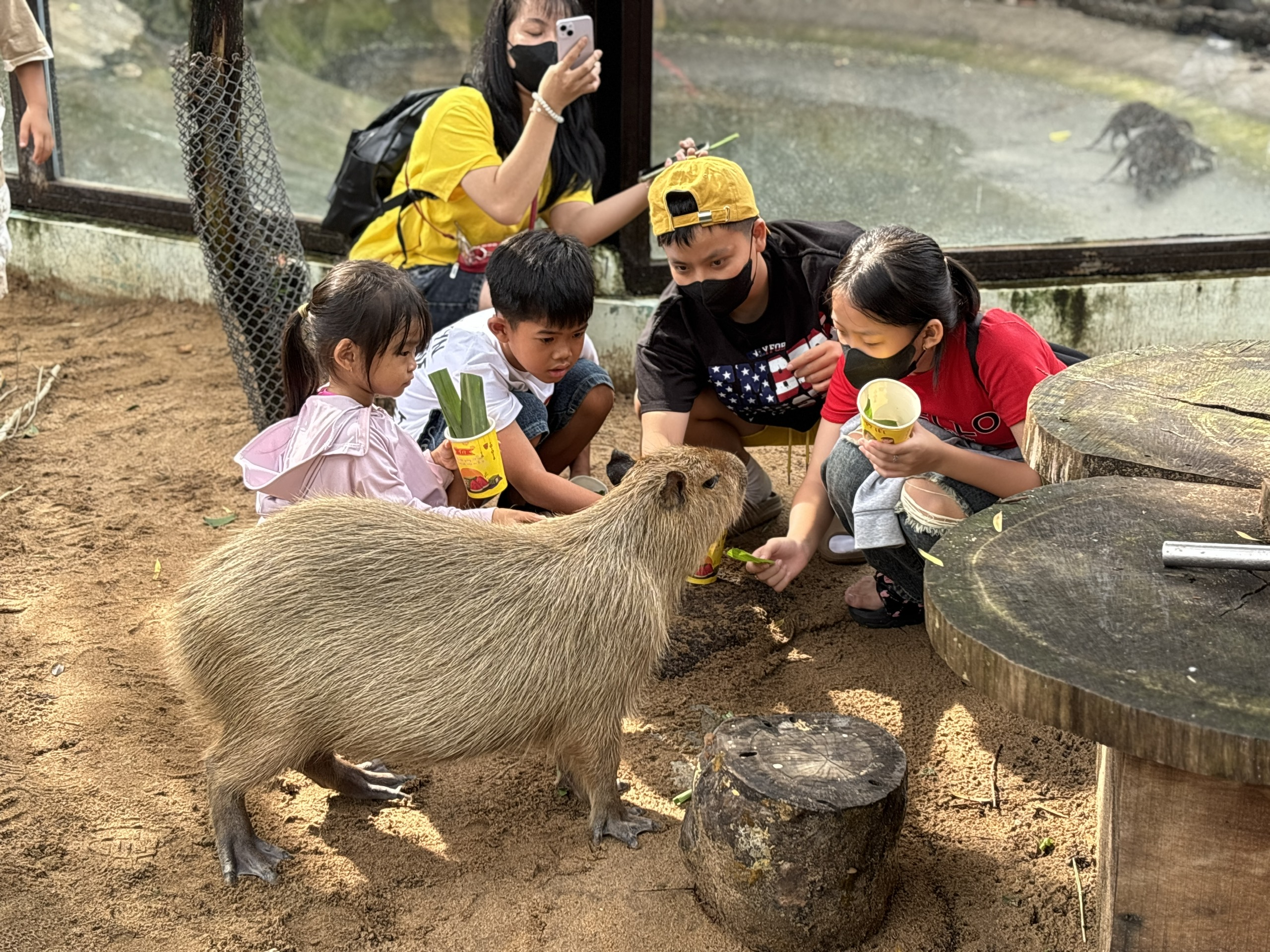 Vườn thú thân thiện (4)