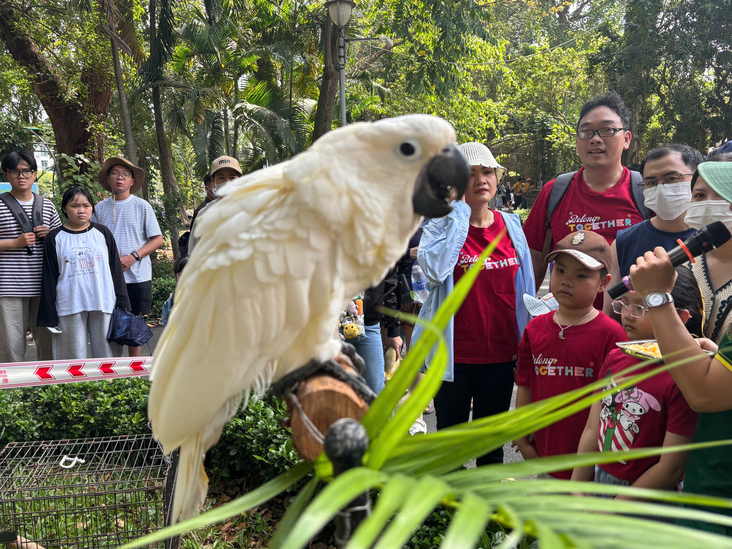 z7553645600185_fceb2895dd0a55d40a353cfdc8450f92