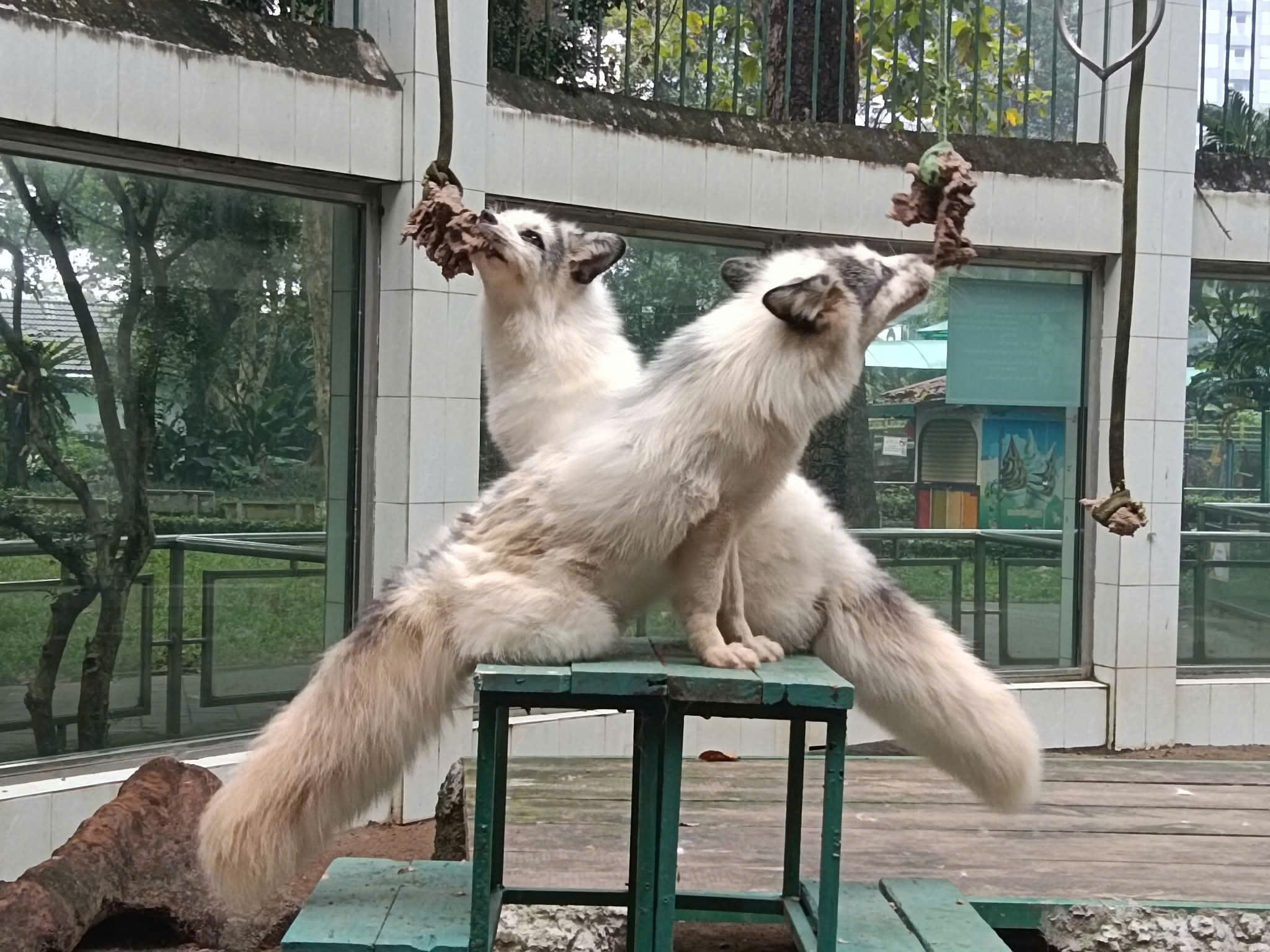 z7569950982471_40c7caf4e94ae79f39904ae1b6c89b08