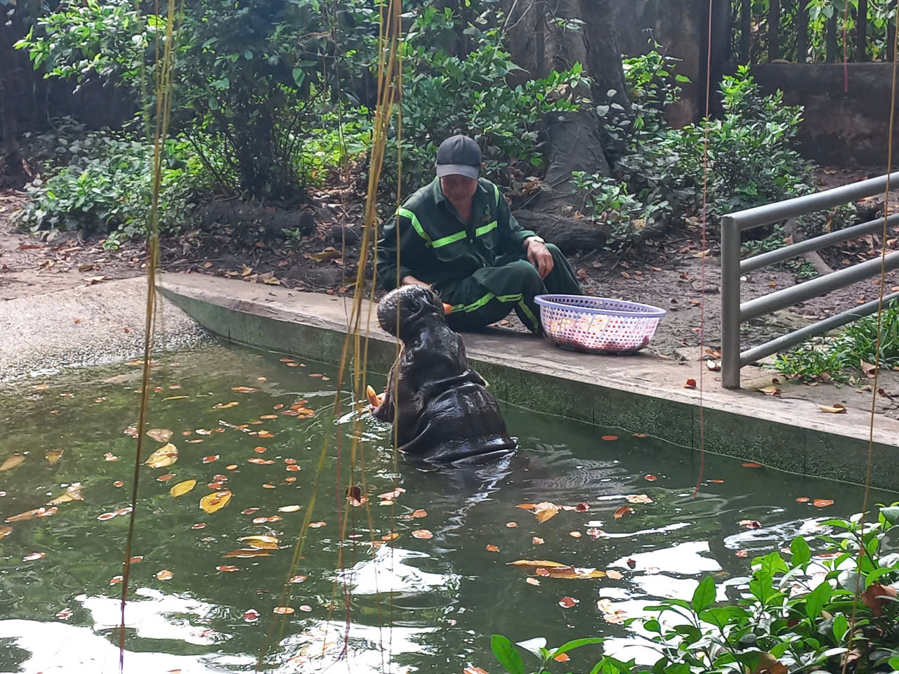 z7569958511296_3cad80efe8de502043da0d827097d3d6