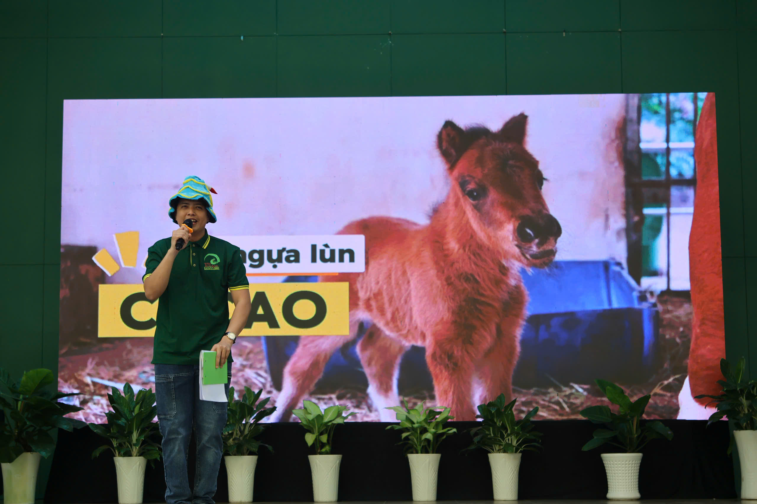 z7645677883942_910bbc17630a133d4db3cba7fd3e1de1