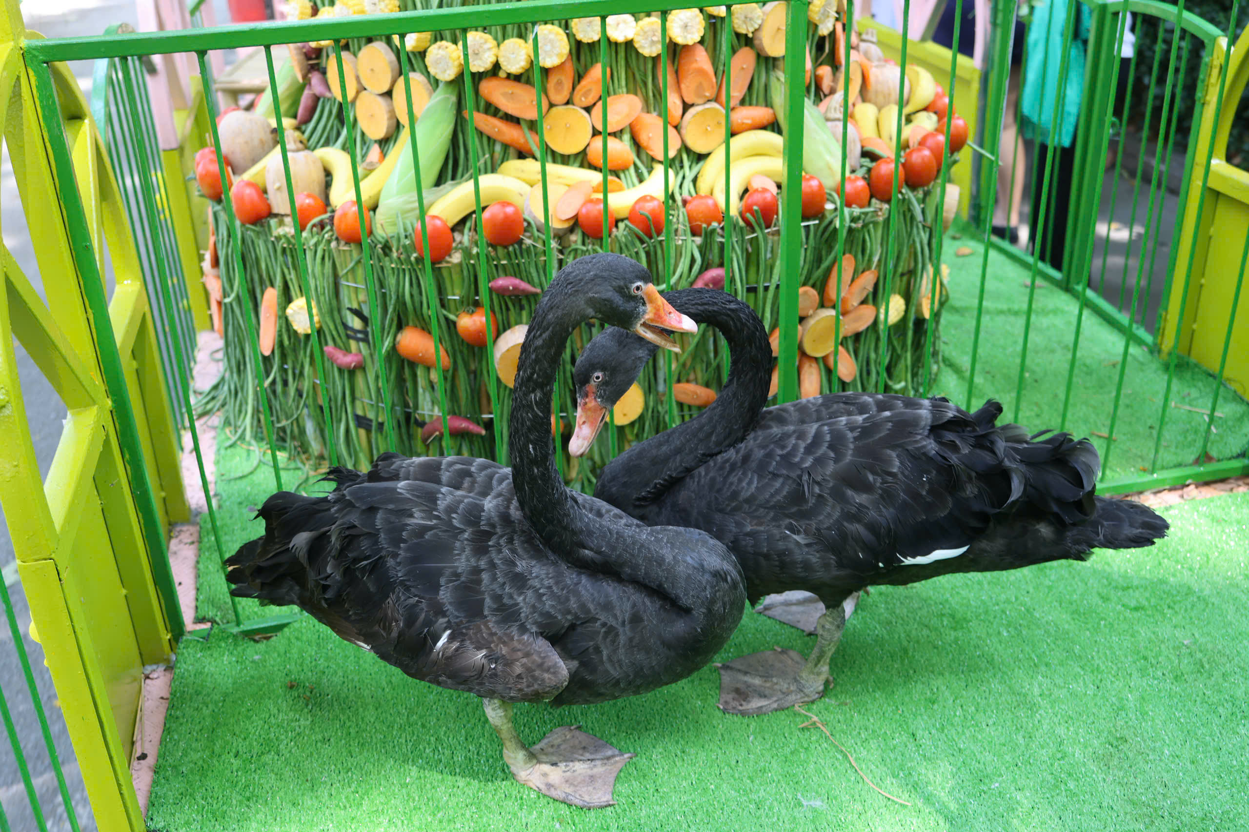 z7645677938469_2640270eb00623ff85737478a10e076c