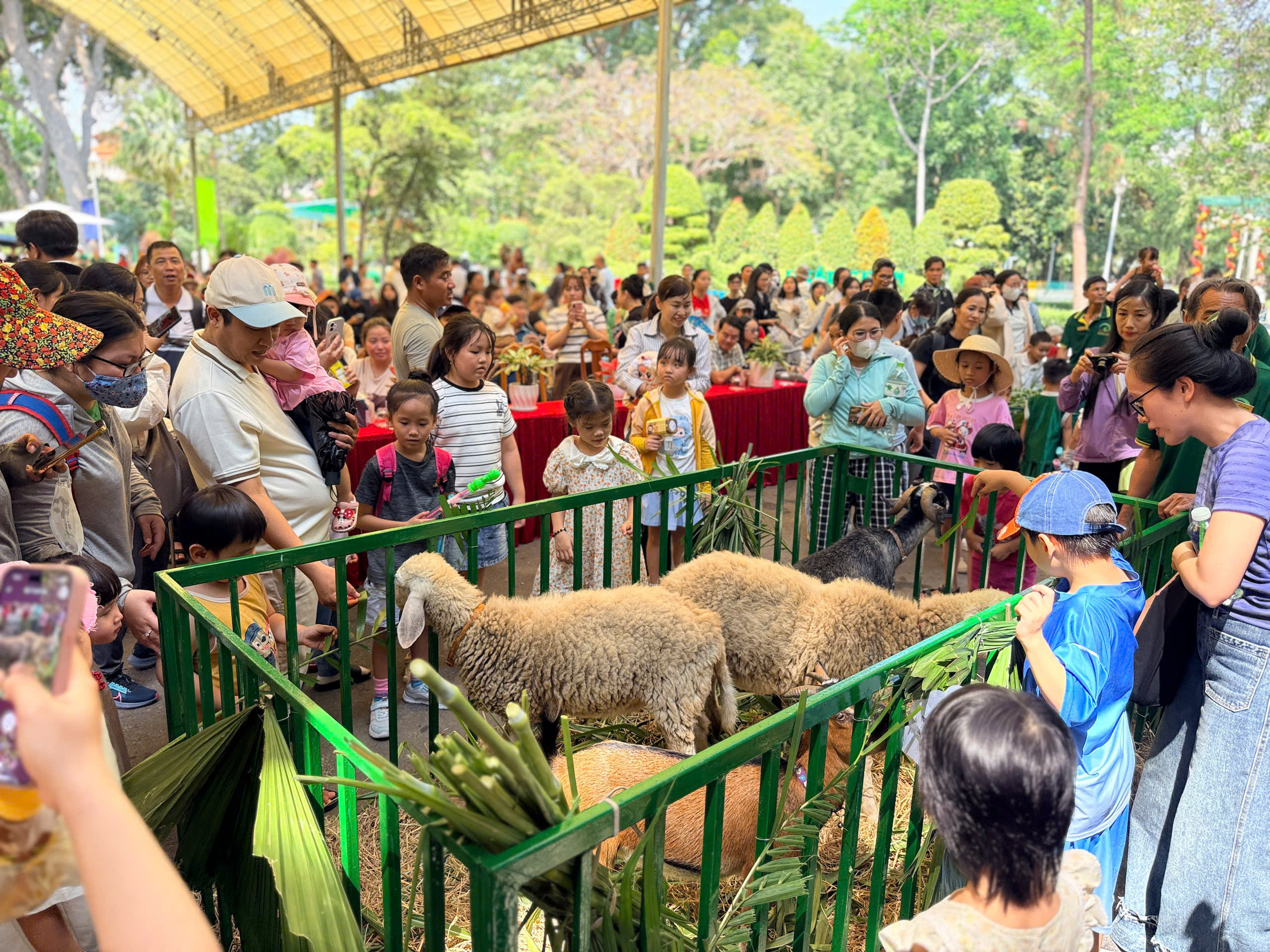 z7646299260400_54669f791003ef35b5709bdbe9b7595b