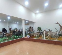 Bảo tàng động thực vật, nơi thời gian ngưng đọng lại
