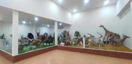 Bảo tàng động thực vật, nơi thời gian ngưng đọng lại