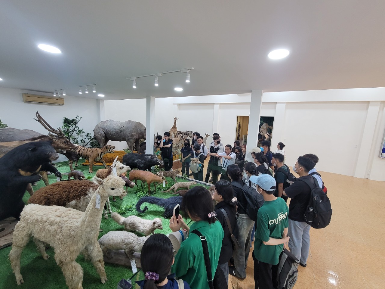 HƯỚNG DẪN BT