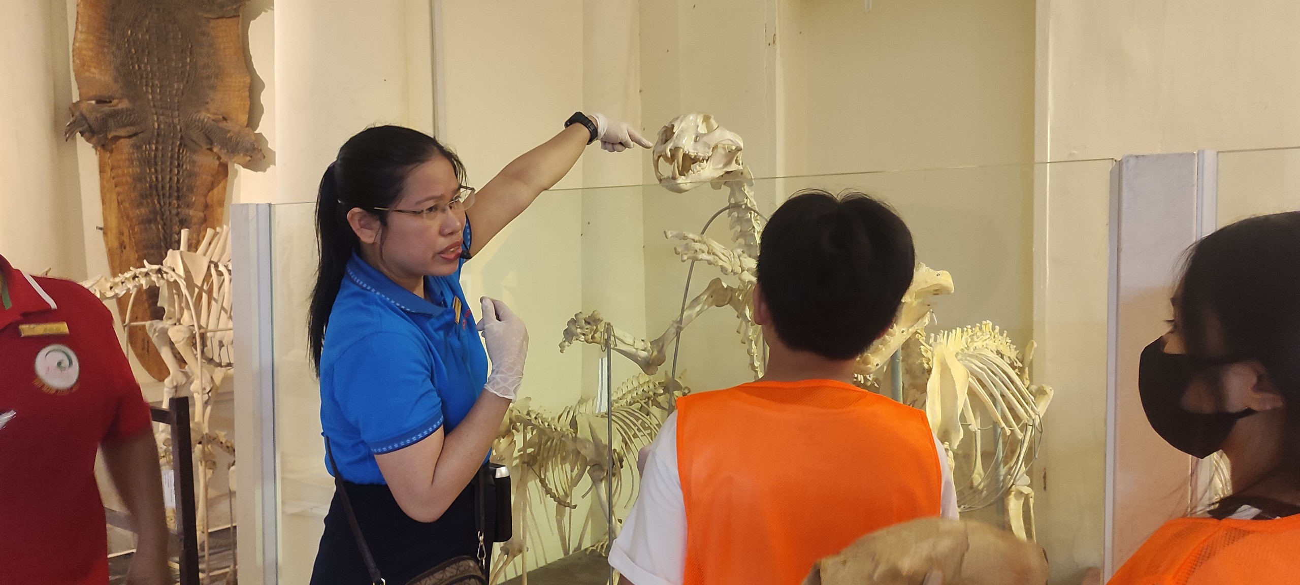 HƯỚNG DẪN MẪU XƯƠNG