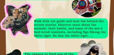 Combo 1: Discover the Zoo’s Hidden Stories