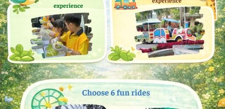 COMBO 8: MY LITTLE ZOO ADVENTURE
