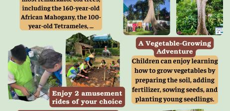 Combo 3: The Wonder of Nature (Plants)
