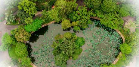 SAIGON ZOO & BOTANICAL GARDENS: EVERYTHING YOU NEED TO KNOW (FAQ)