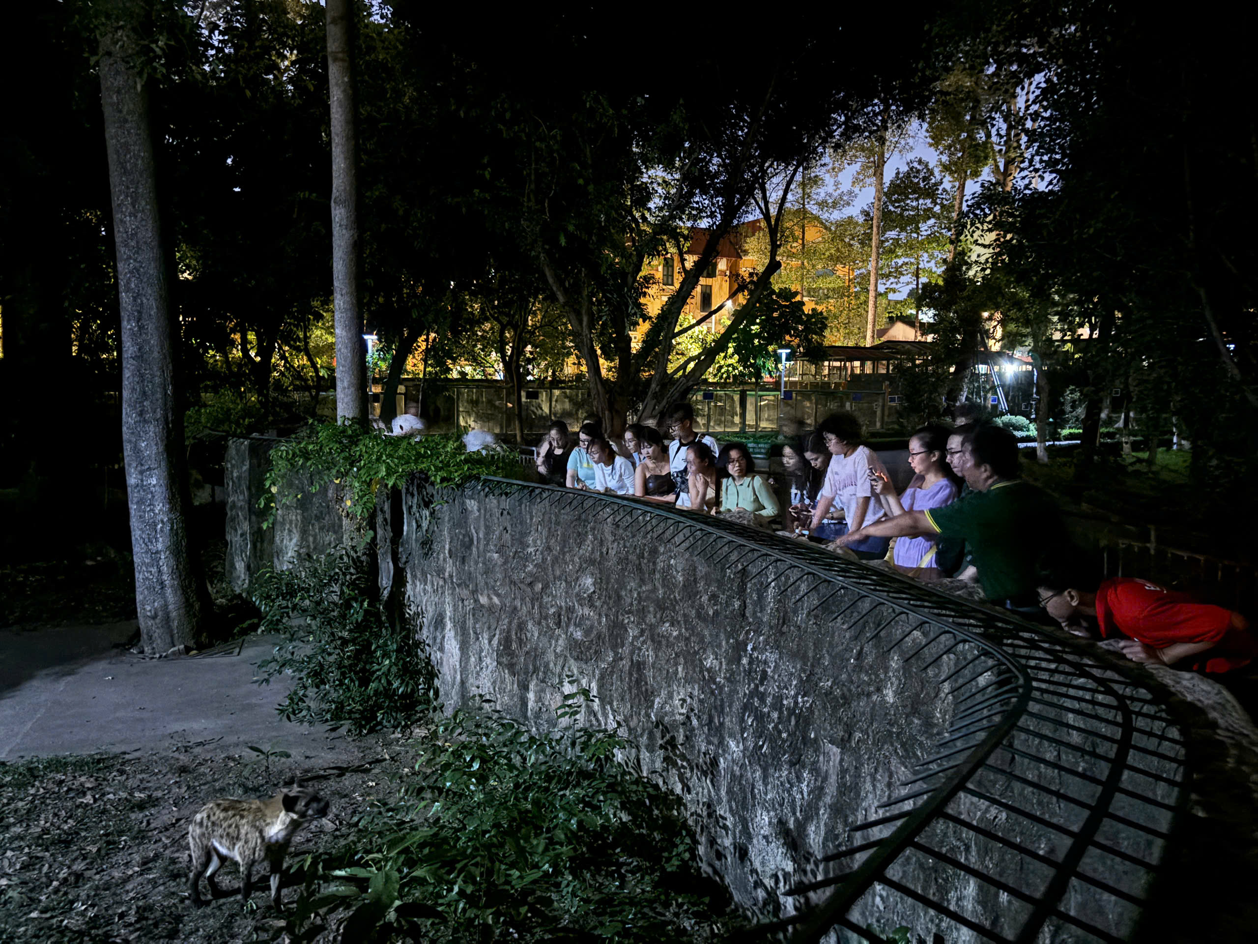 z6522027703797_d427f98b52310d373bb3e2a2c51b5ec0