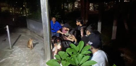 KHI MÀN ĐÊM BUÔNG XUỐNG: BẢN GIAO HƯỞNG HOANG DÃ GIỮA LÒNG THÀNH PHỐ