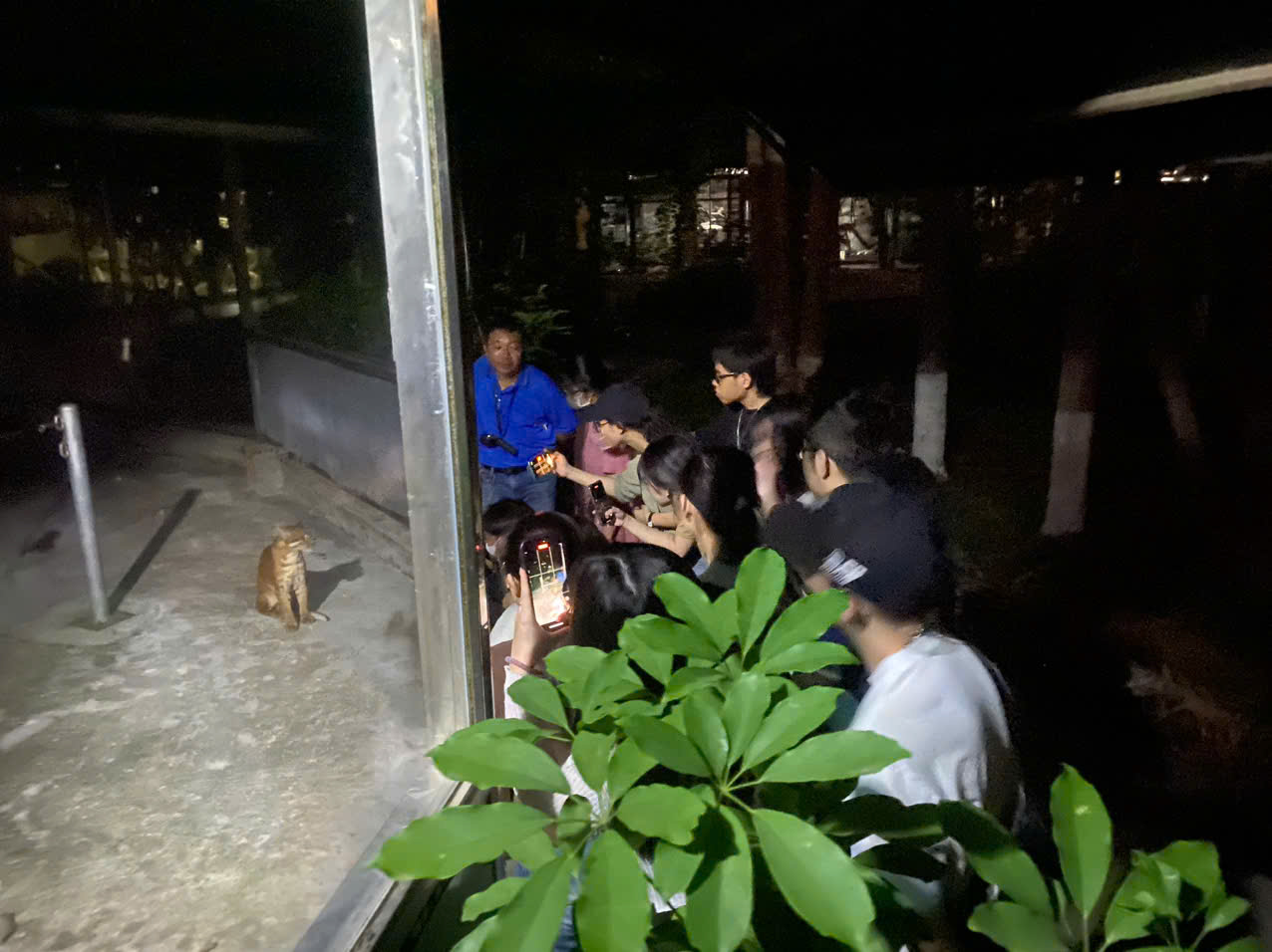 z6525698977447_861a3cbbacf10d1a1e742ea39adac8ac