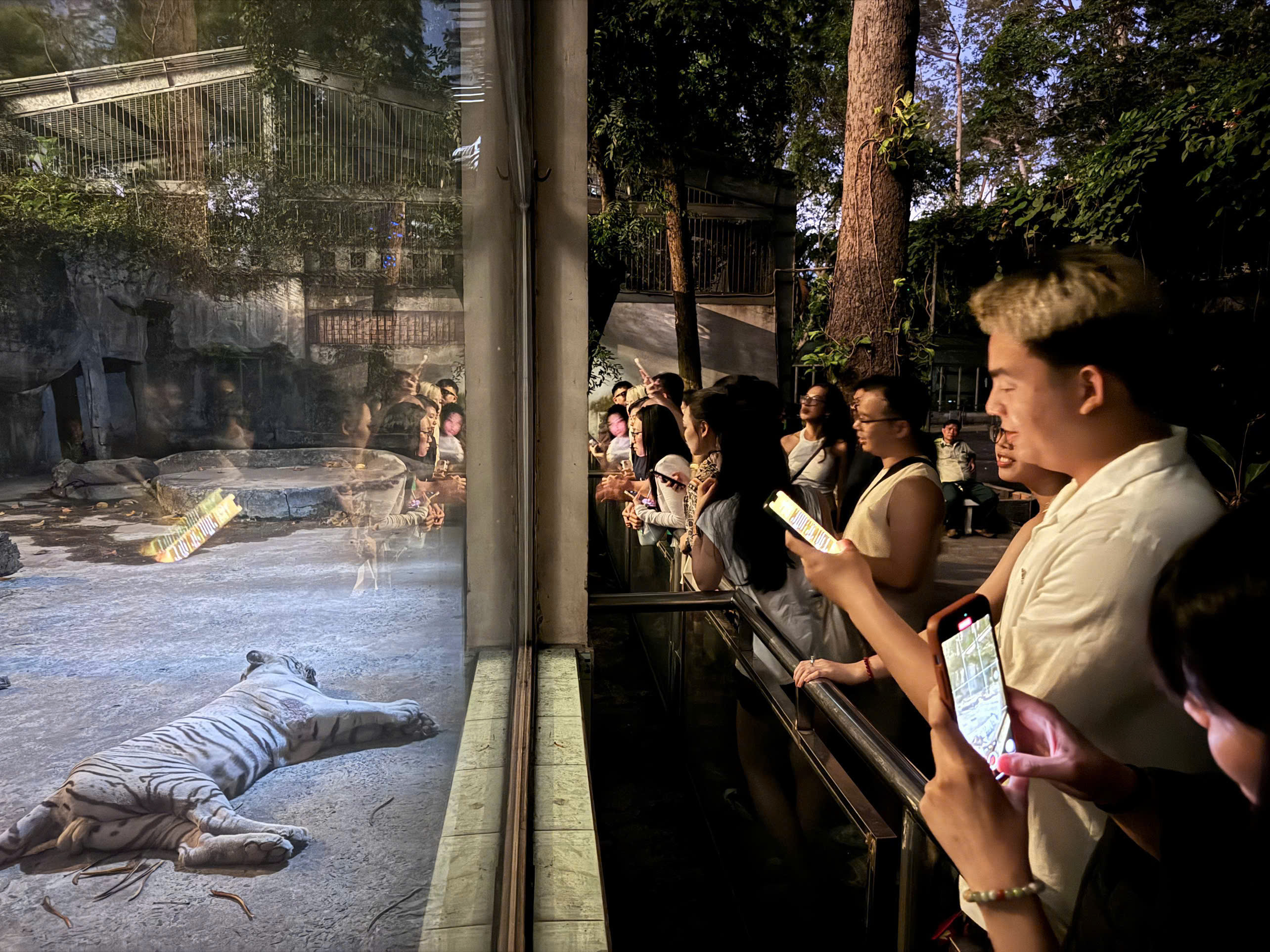 Hành trình khám phá thế giới bí ẩn của thế giới động vật về đêm