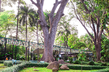 160 Năm Hình Thành & Phát Triển 7