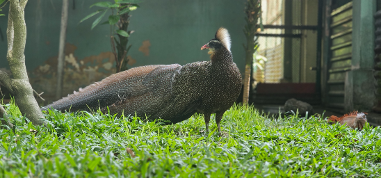 160 Năm Hình Thành & Phát Triển 1